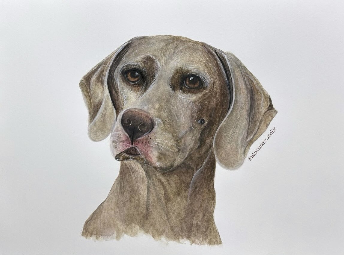Hundeportrait